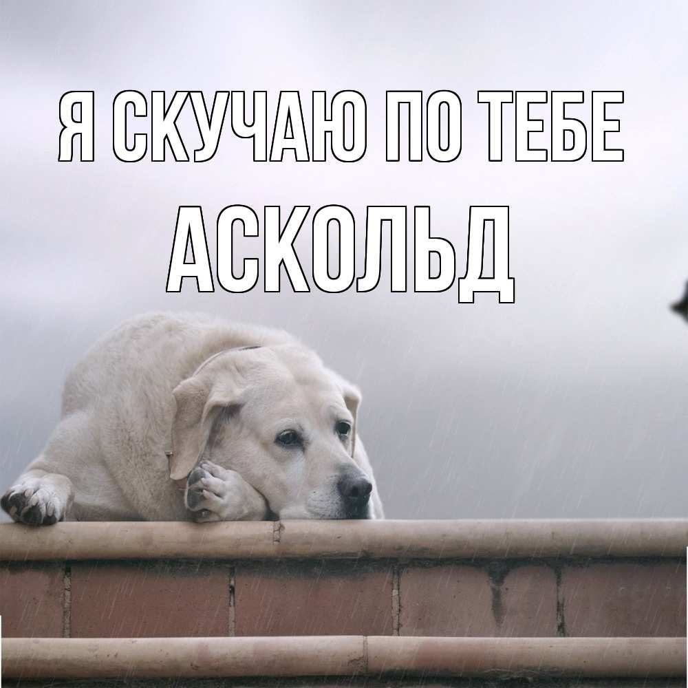 Открытка  с именем. Аскольд, Я скучаю по тебе  