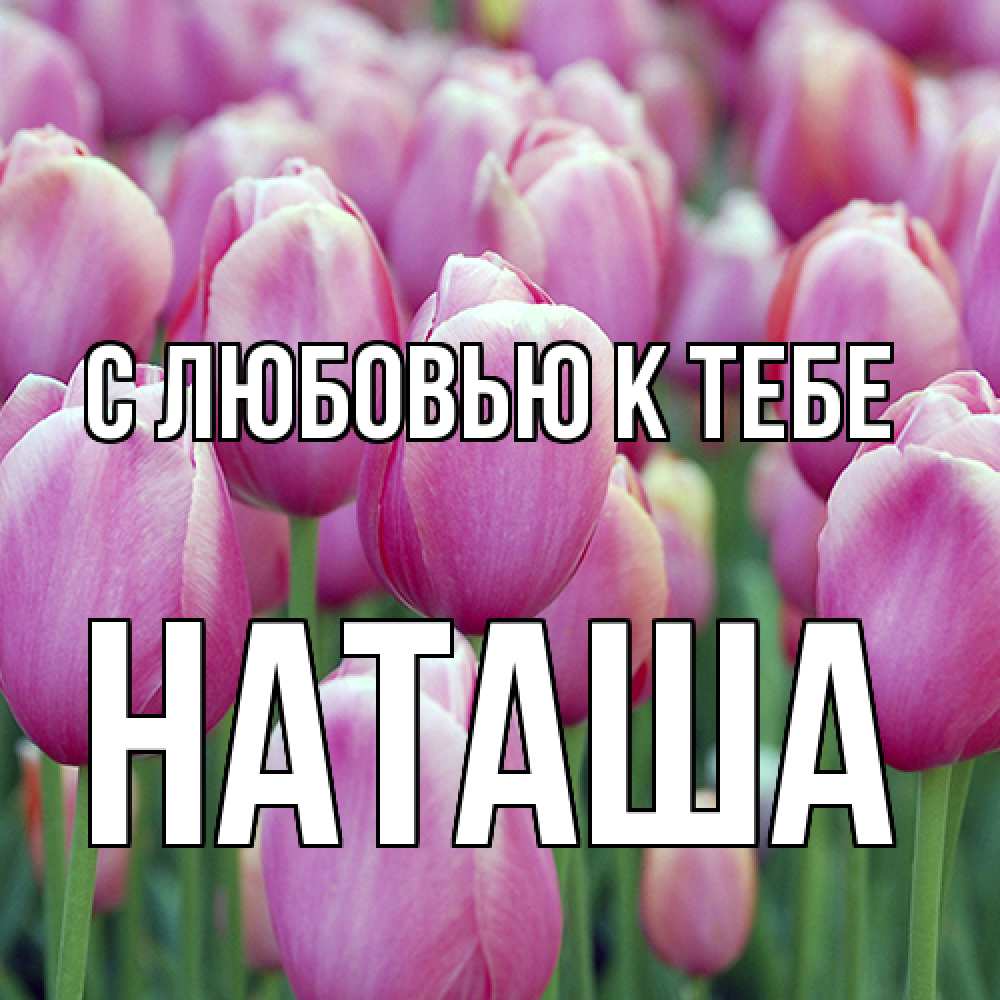 Открытка  с именем. Наташа, С любовью к тебе  