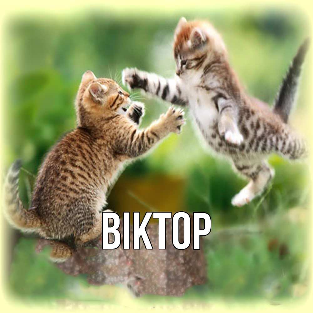 Открытка  с именем. Віктор, Главная  