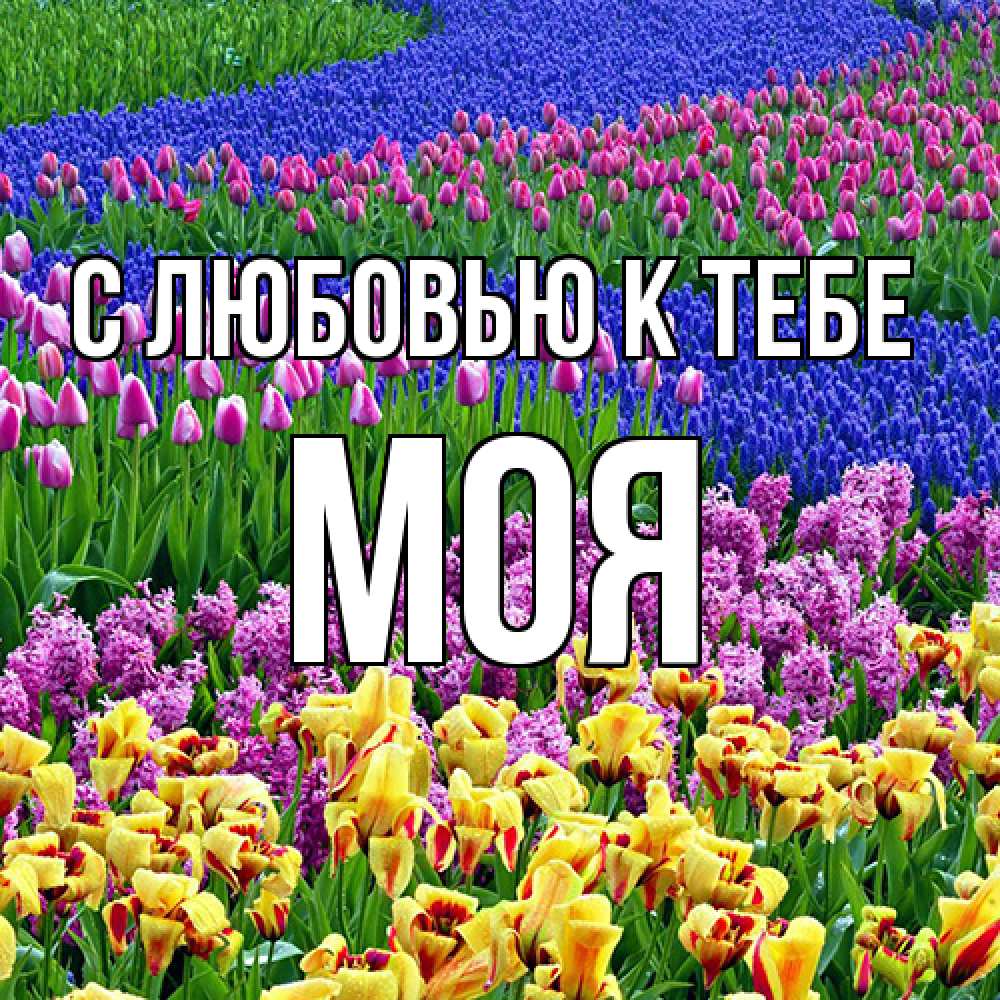 Открытка  с именем. Моя, С любовью к тебе  