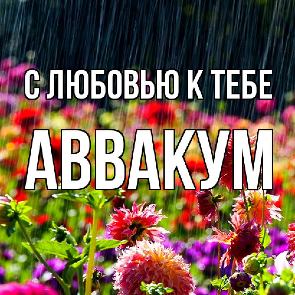 Открытка  с именем. Аввакум, С любовью к тебе  