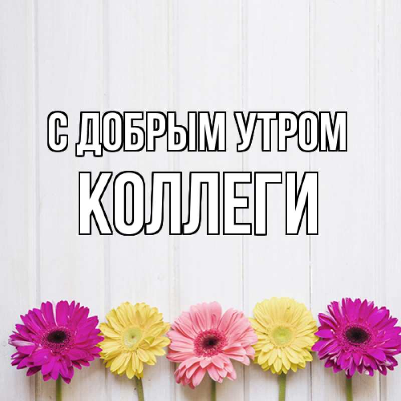 Картинка С добрым утром, коллеги