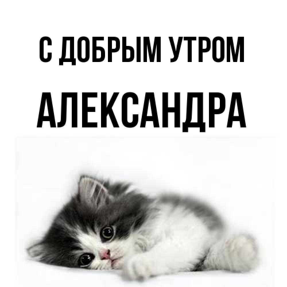 Открытка  с именем. Александра, С добрым утром  