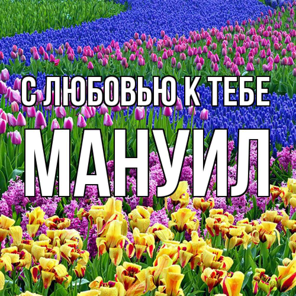 Открытка  с именем. Мануил, С любовью к тебе  