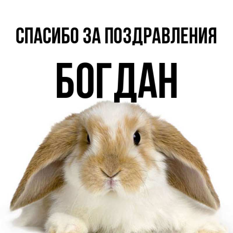 Картинка Спасибо за поздравления, Богдан