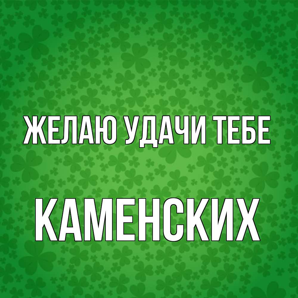Открытка  с именем. Каменских, Желаю удачи тебе  