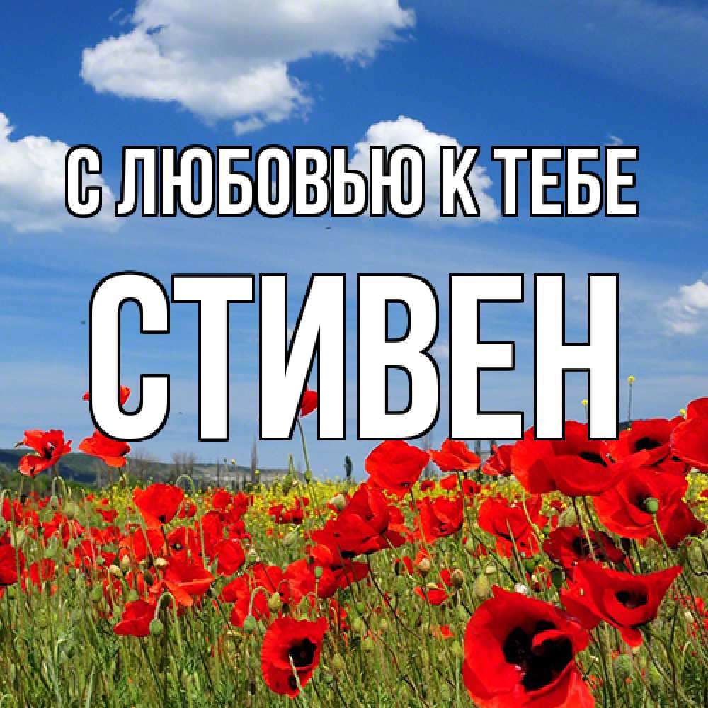 Открытка  с именем. Стивен, С любовью к тебе  