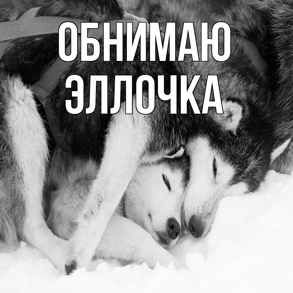 Открытка  с именем. Эллочка, Обнимаю  