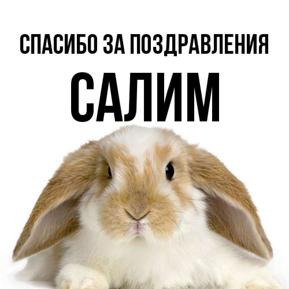 Открытка  с именем. Салим, Спасибо за поздравления  