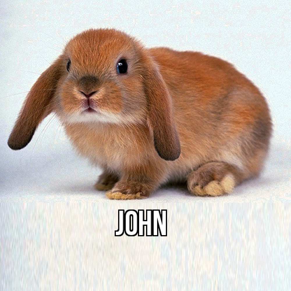 Открытка  с именем. John, Главная  