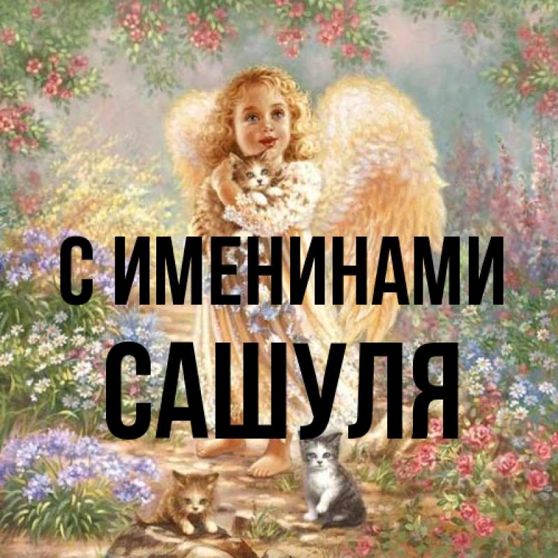 Картинка С именинами, Сашуля
