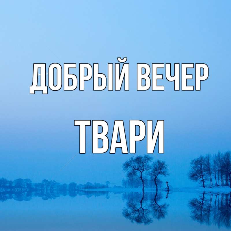 Картинка Добрый вечер, твари