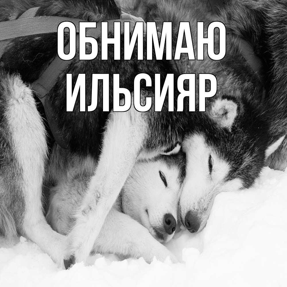 Открытка  с именем. Ильсияр, Обнимаю  