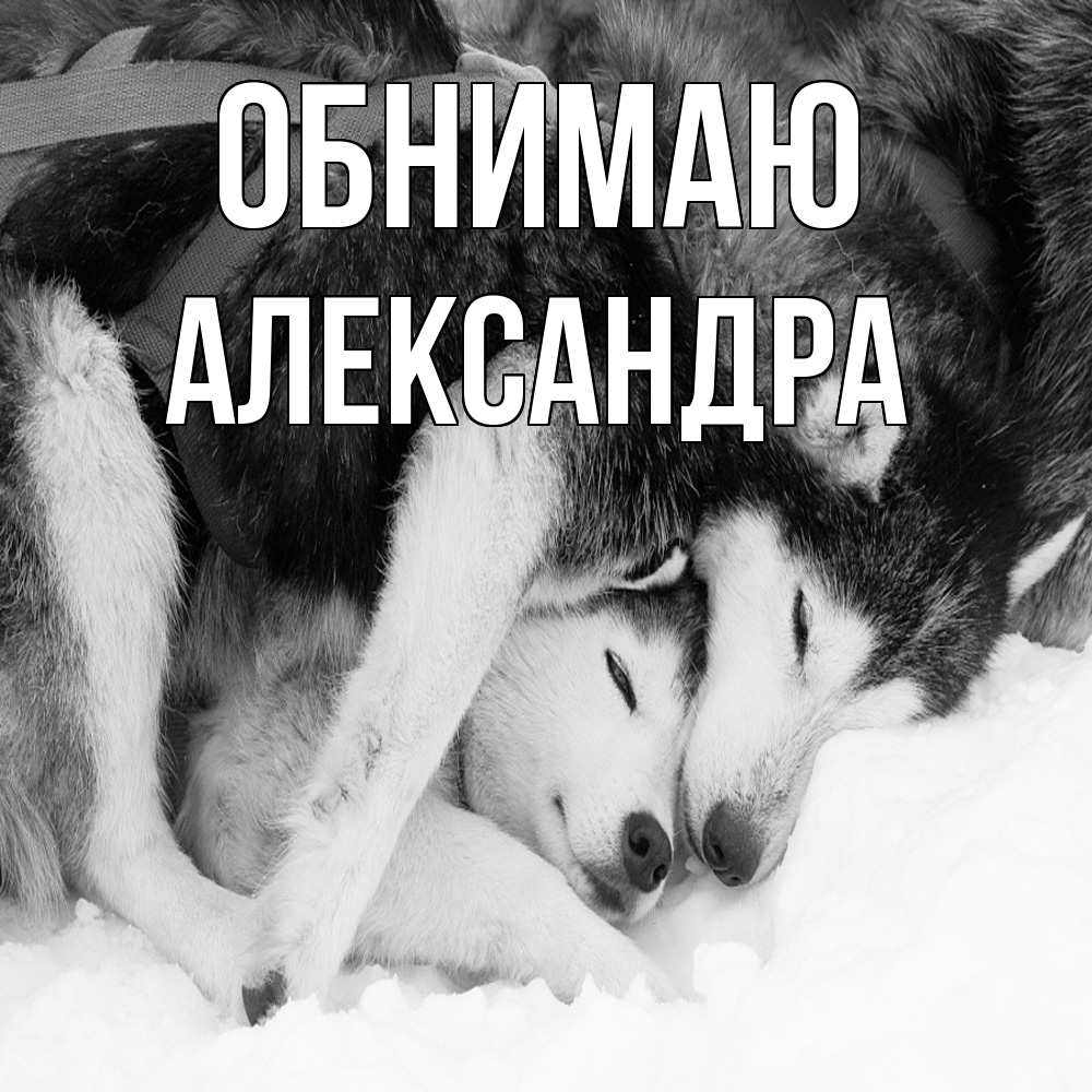 Открытка  с именем. Александра, Обнимаю  