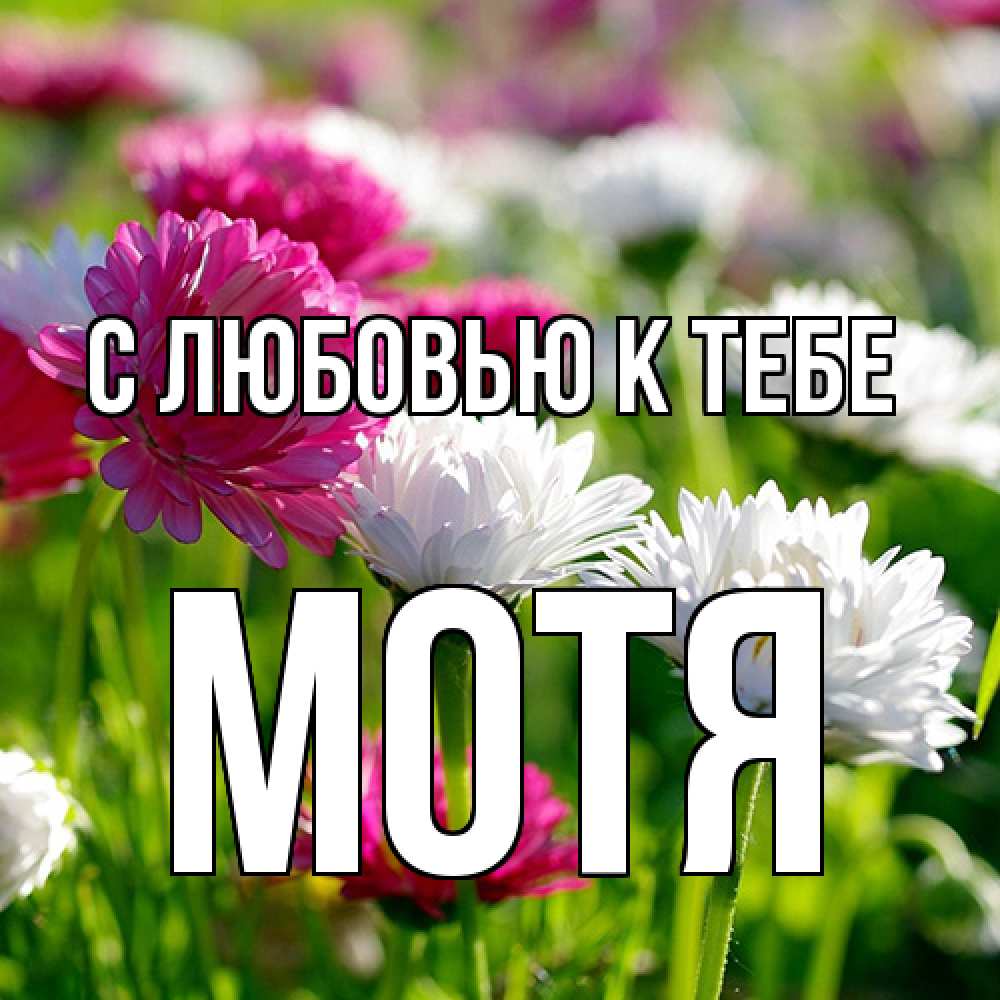 Открытка  с именем. Мотя, С любовью к тебе  