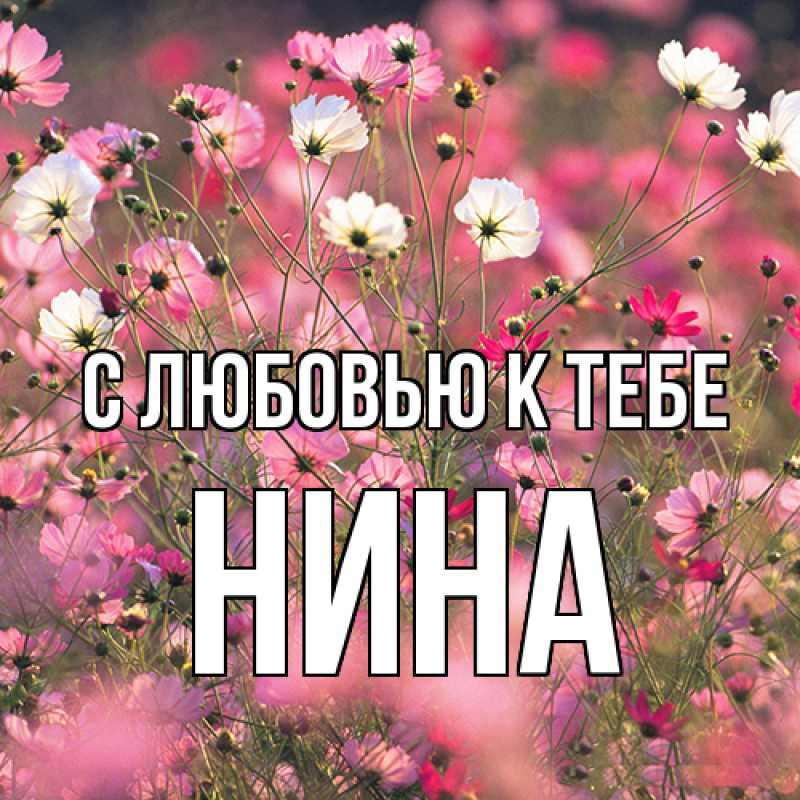 Картинка С любовью к тебе, Нина