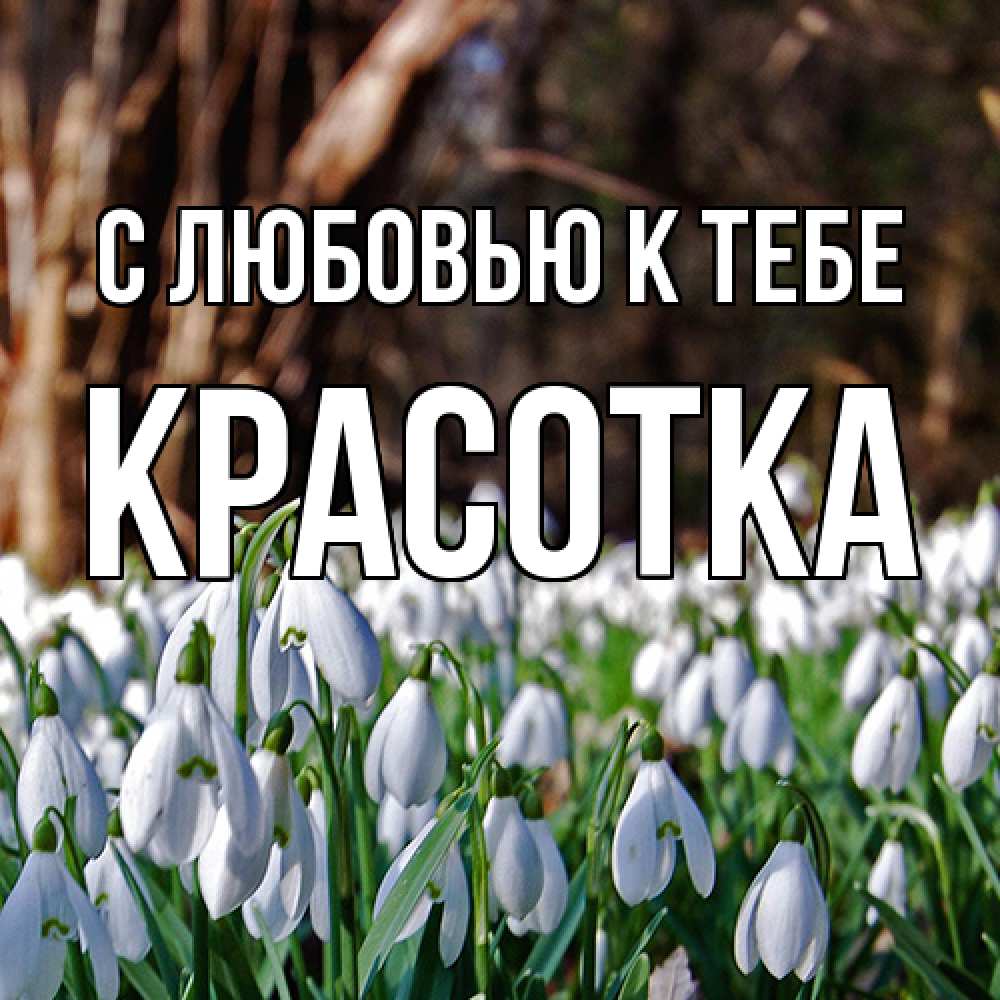 Открытка  с именем. Красотка, С любовью к тебе  