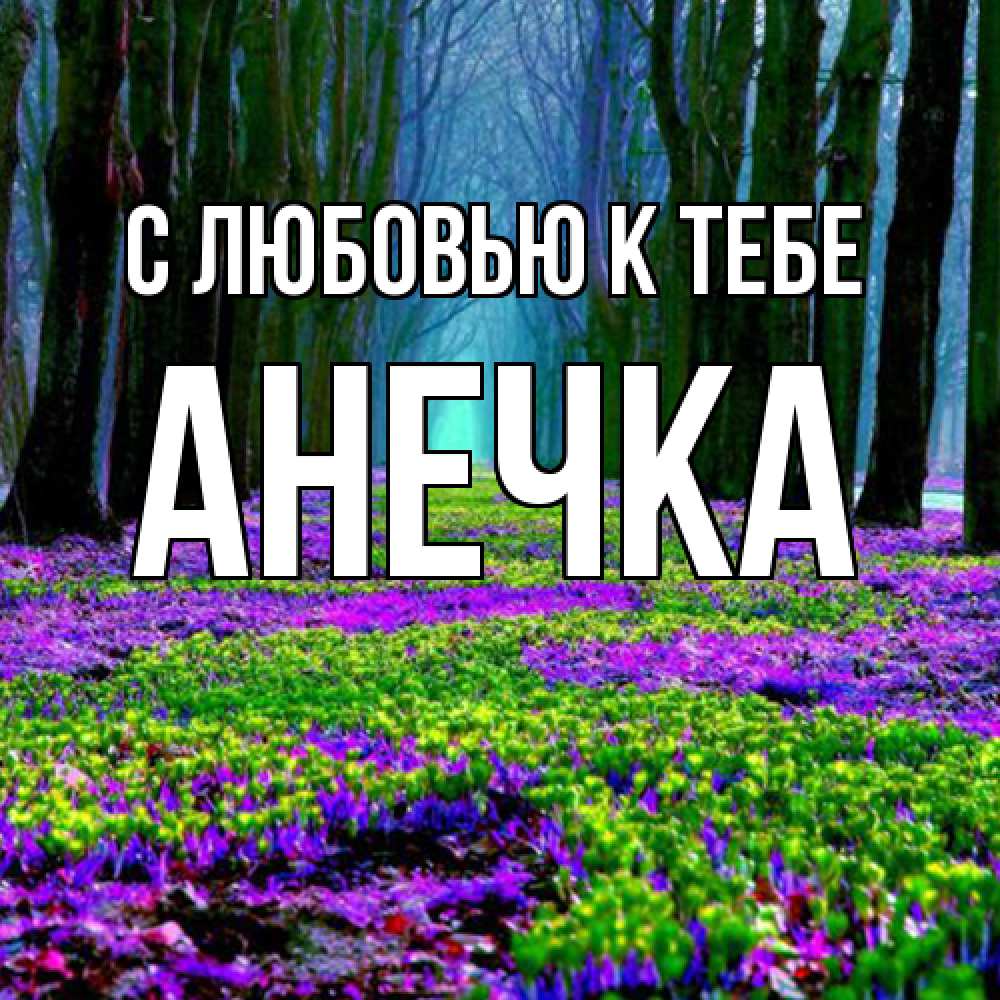 Открытка  с именем. анечка, С любовью к тебе  