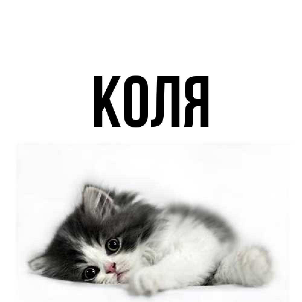 Открытка  с именем. коля, Главная  