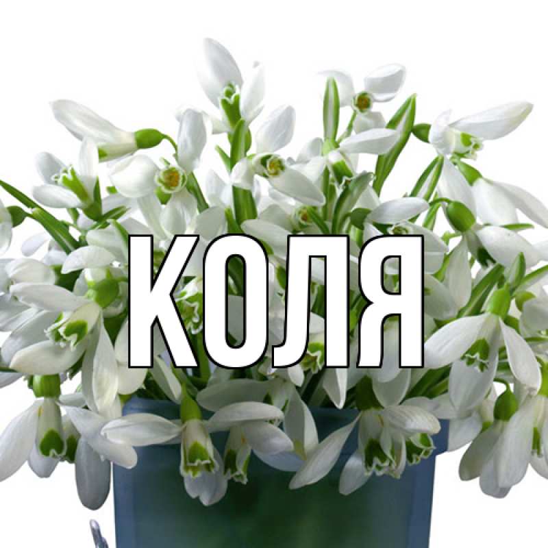 Картинка  с именем , коля