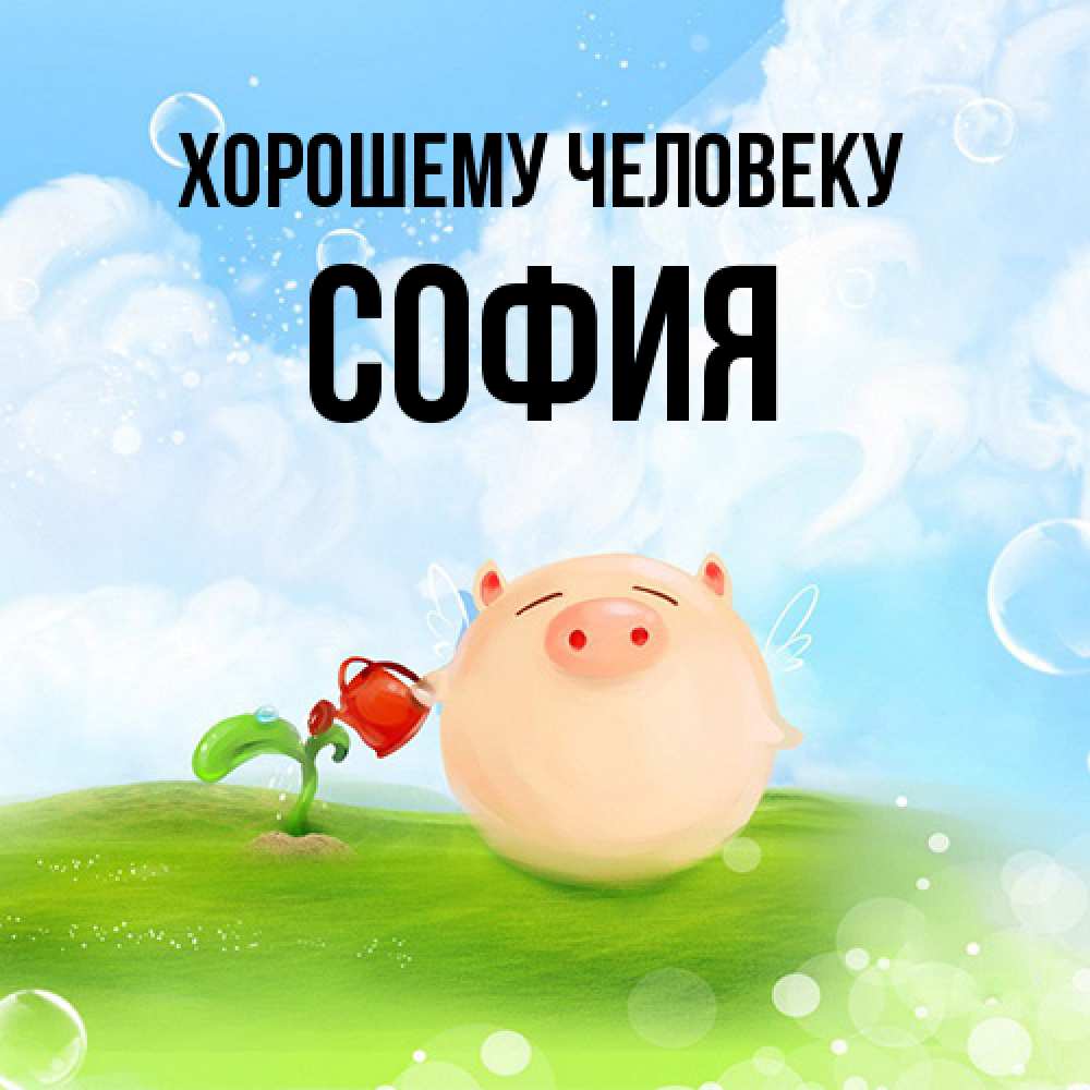 Открытка  с именем. София, Хорошему человеку  