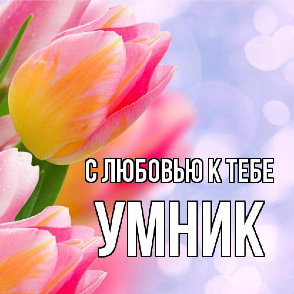 Открытка  с именем. Умник, С любовью к тебе  