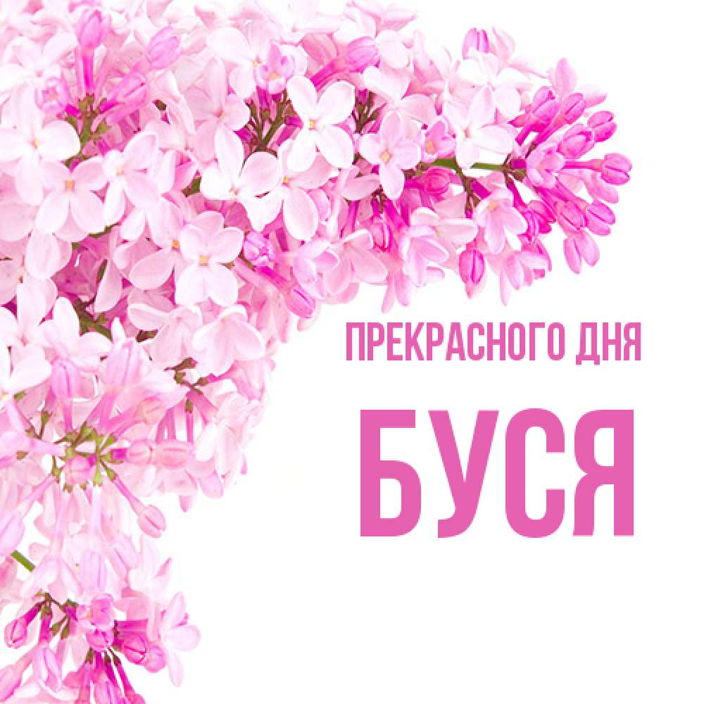 Открытка  с именем. Буся, Прекрасного дня  