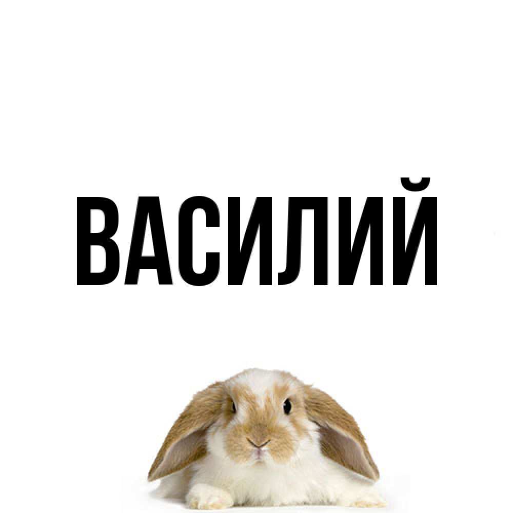 Открытка  с именем. Василий, Главная  