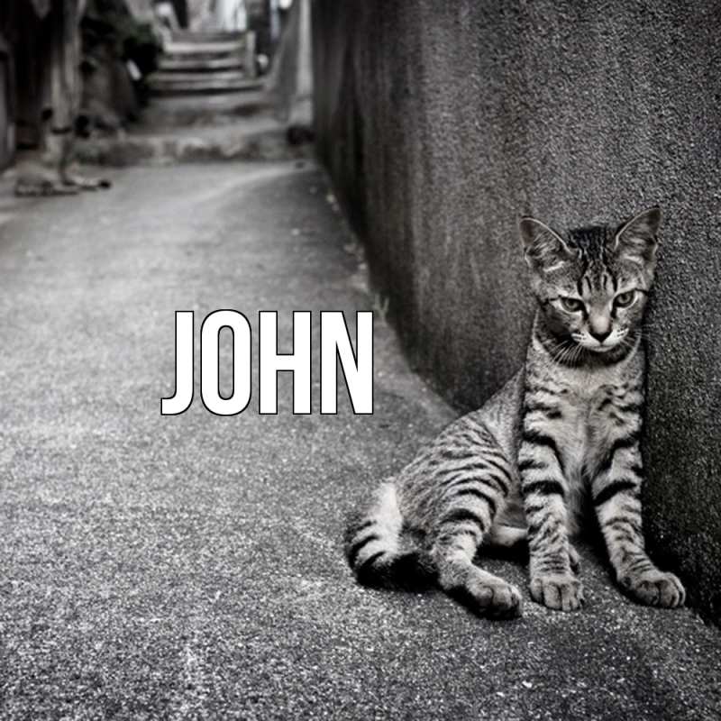 Картинка  с именем , John