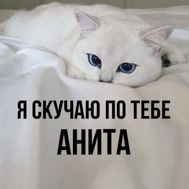 Картинка Я скучаю по тебе, Анита