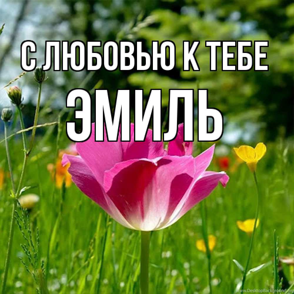 Открытка  с именем. Эмиль, С любовью к тебе  