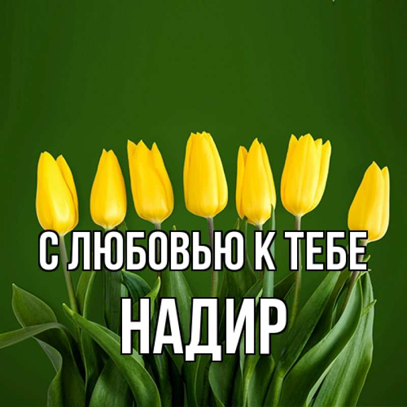 Картинка С любовью к тебе, Надир