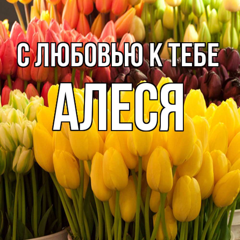 Открытка  с именем. Алеся, С любовью к тебе  