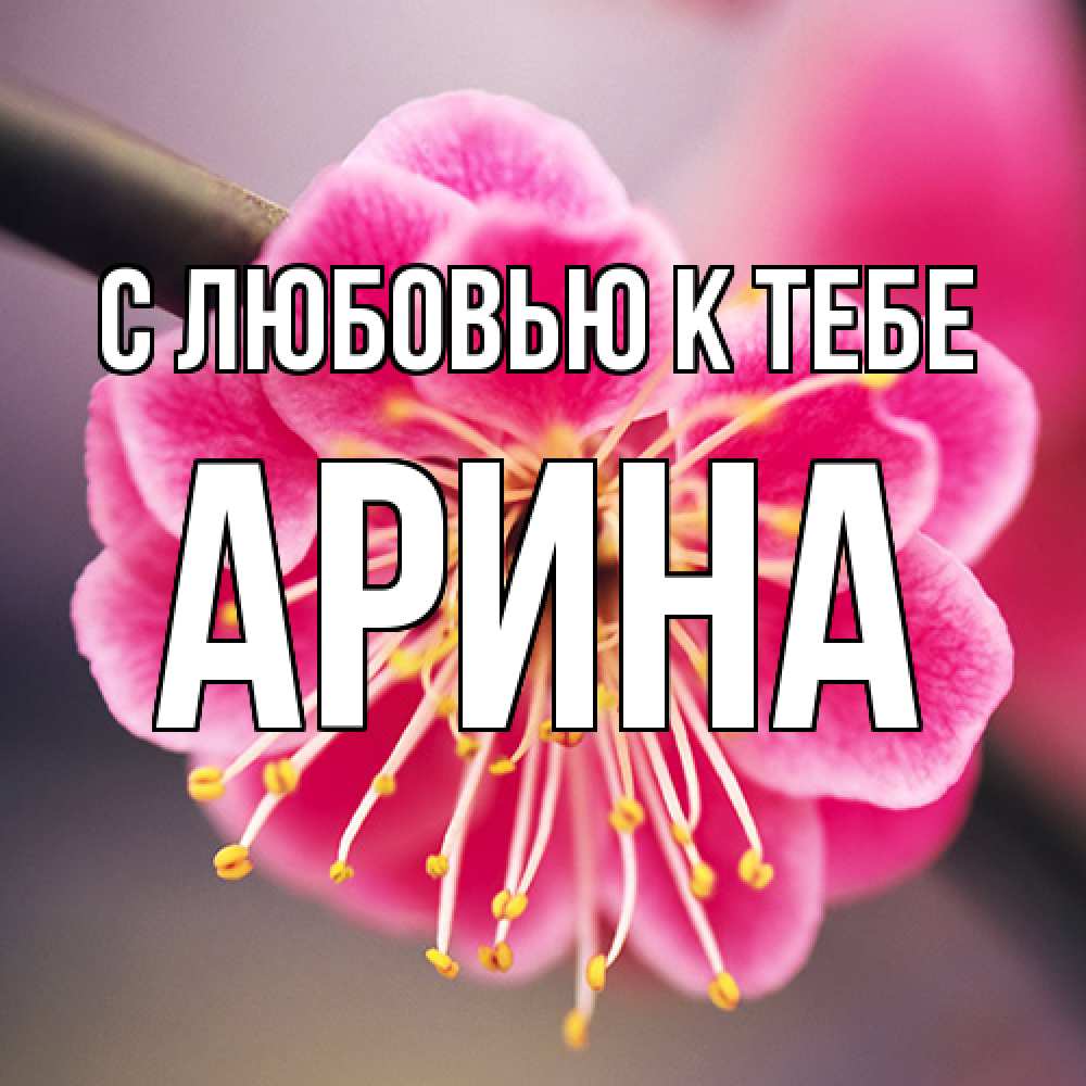 Открытка  с именем. Арина, С любовью к тебе  