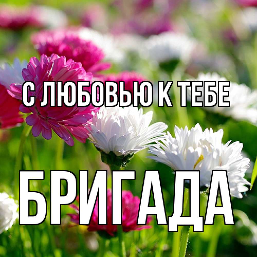 Открытка  с именем. Бригада, С любовью к тебе  