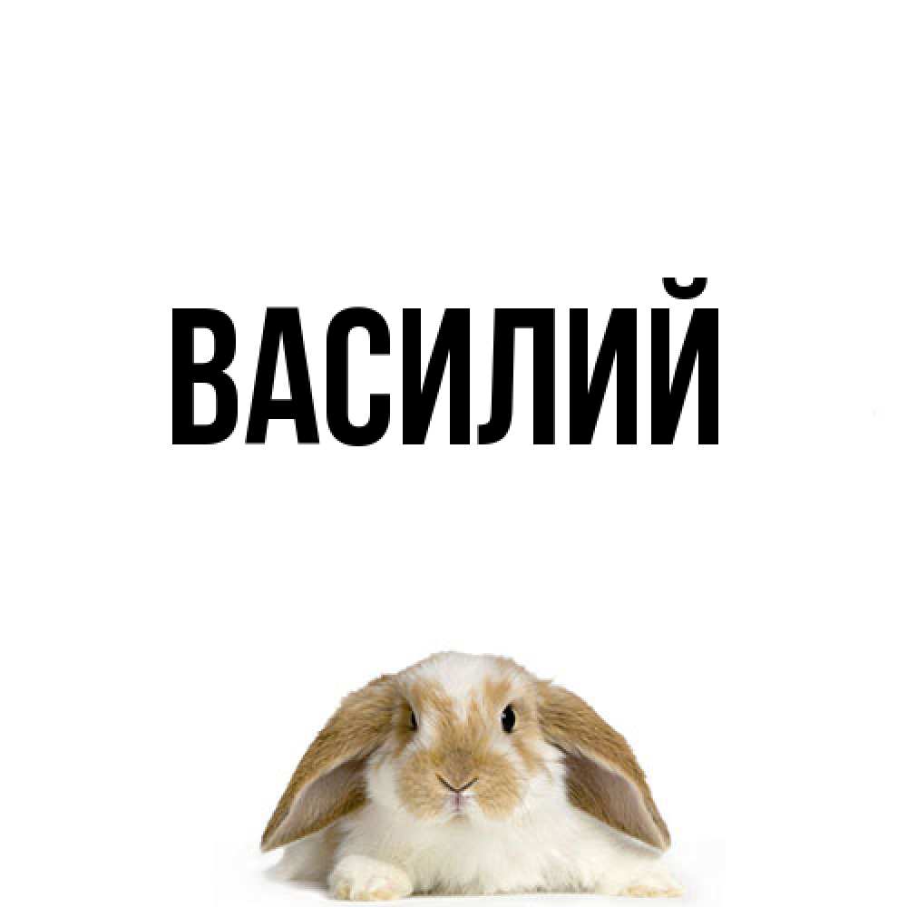 Открытка  с именем. Василий, Главная  