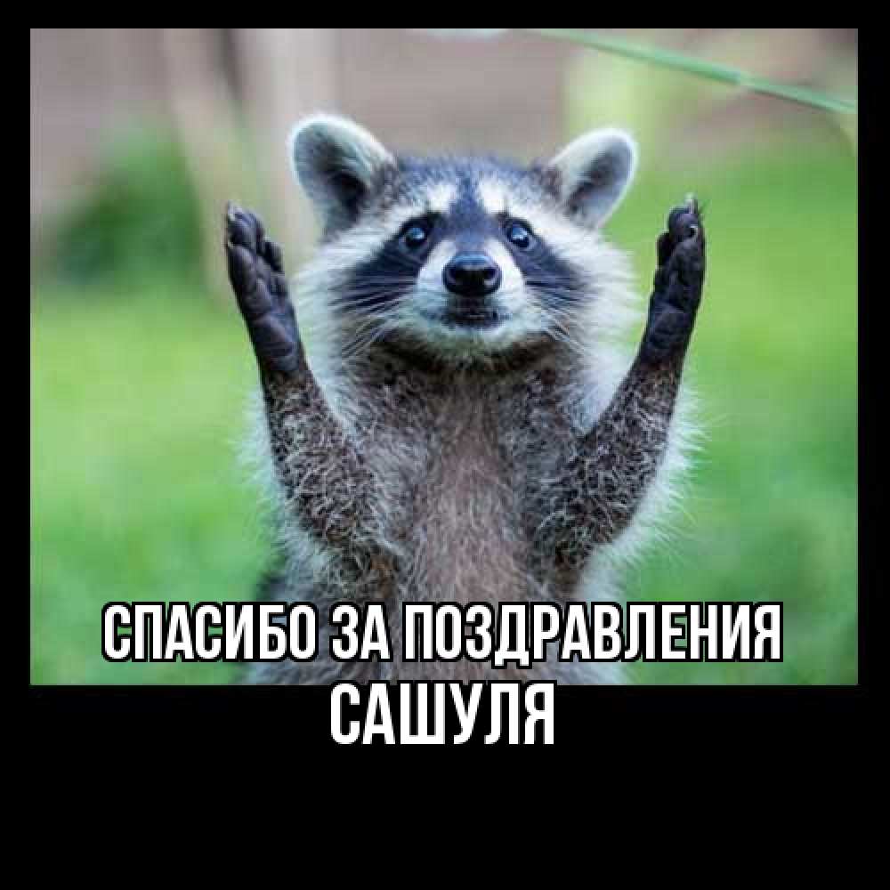 Открытка  с именем. Сашуля, Спасибо за поздравления  