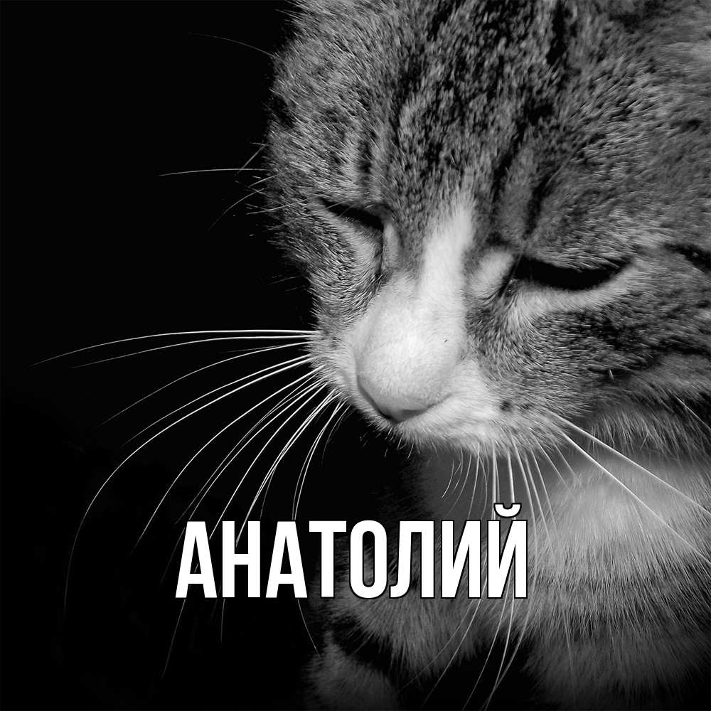 Открытка  с именем. Анатолий, Главная  