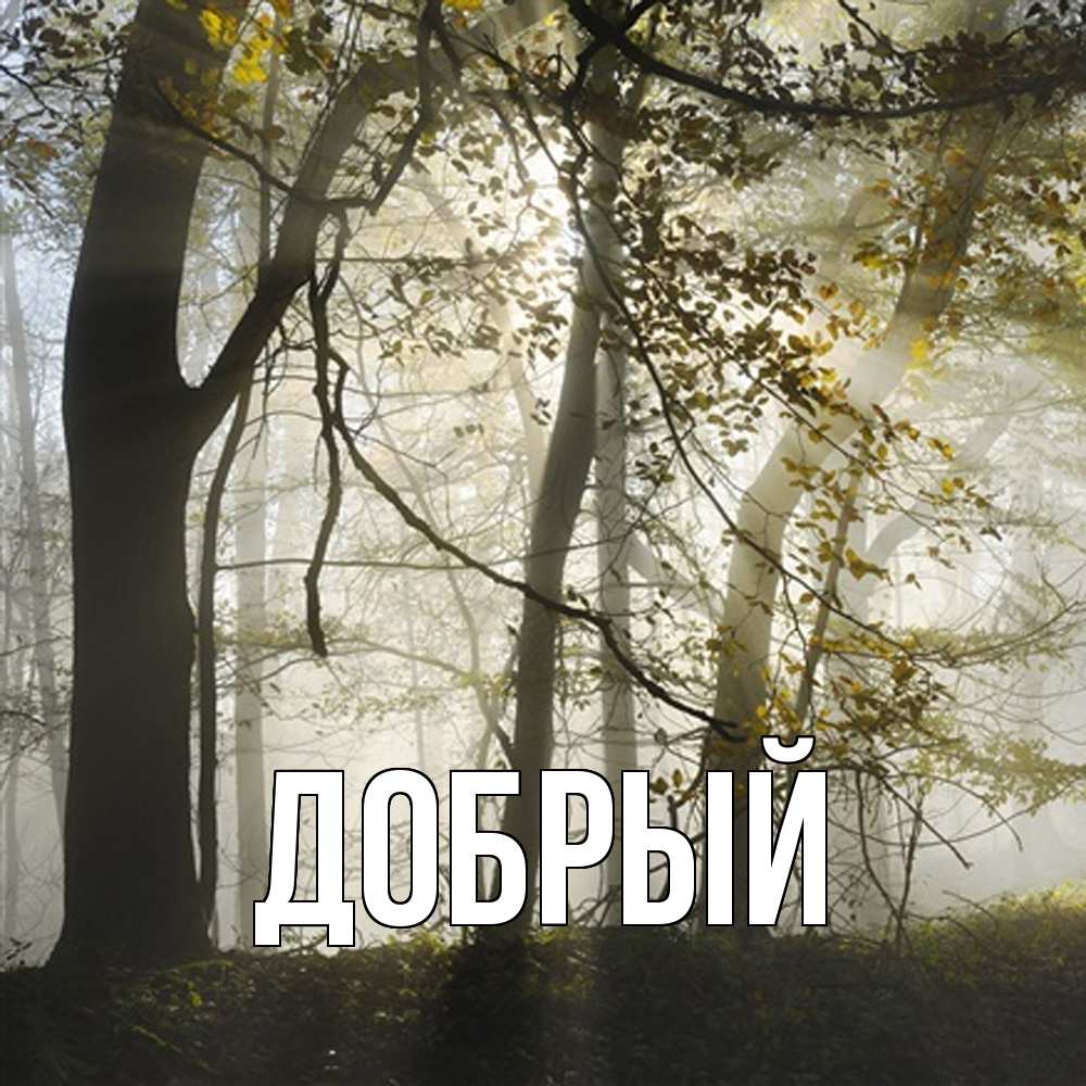 Открытка  с именем. Добрый, Главная  