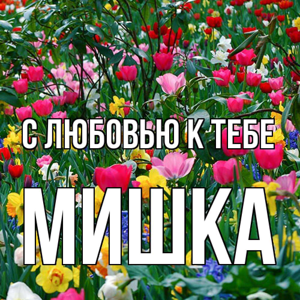 Открытка  с именем. Мишка, С любовью к тебе  