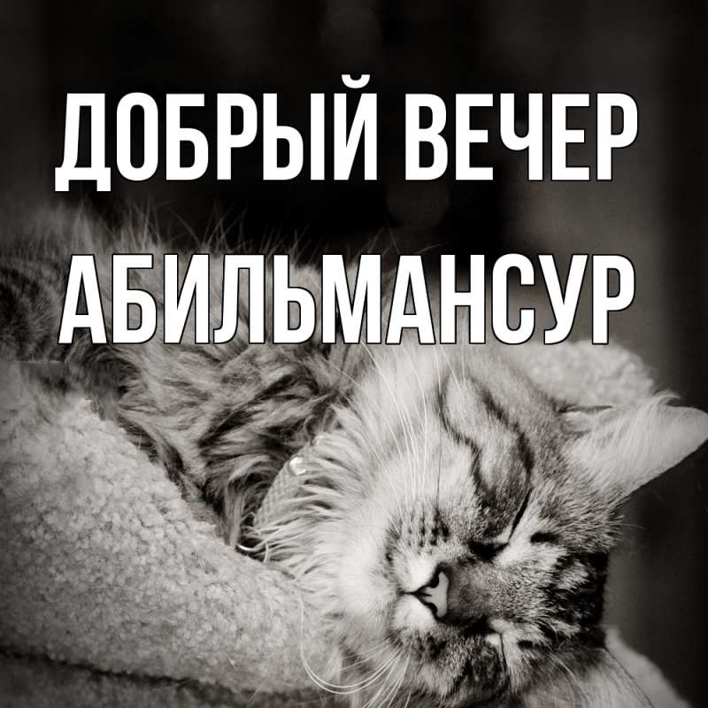 Картинка Добрый вечер, Абильмансур