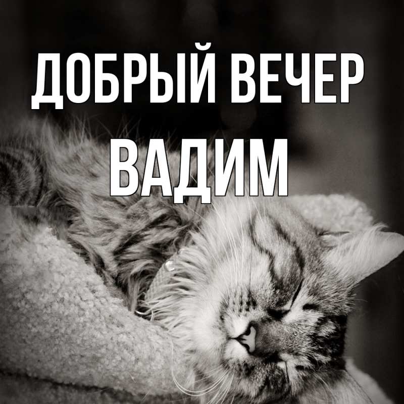 Картинка Добрый вечер, Вадим