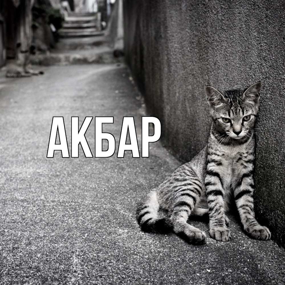Открытка  с именем. Акбар, Главная  