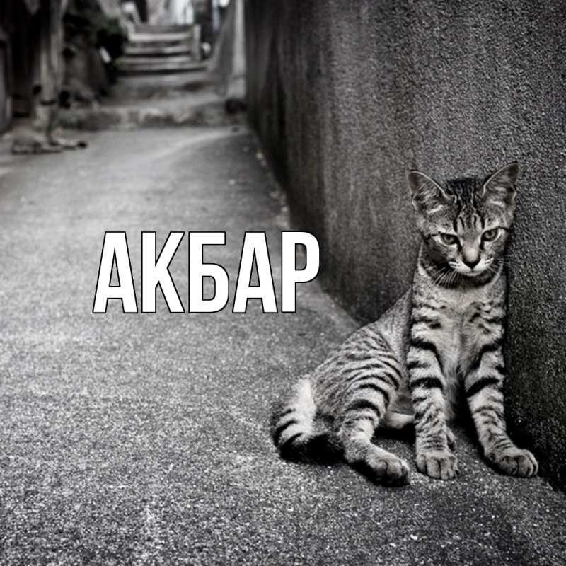 Картинка  с именем , Акбар