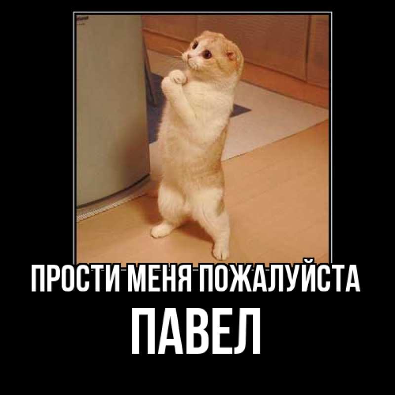 Картинка Прости меня пожалуйста, Павел
