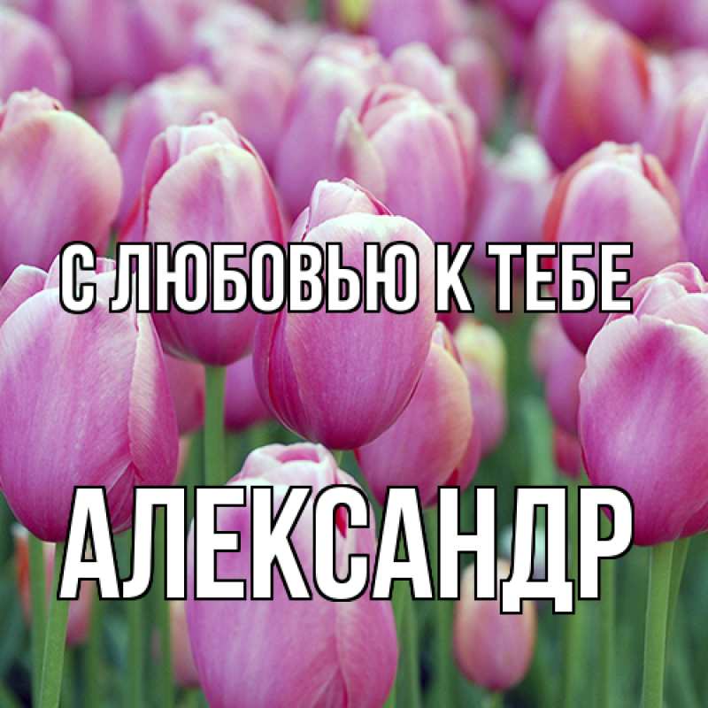 Картинка С любовью к тебе, Александр