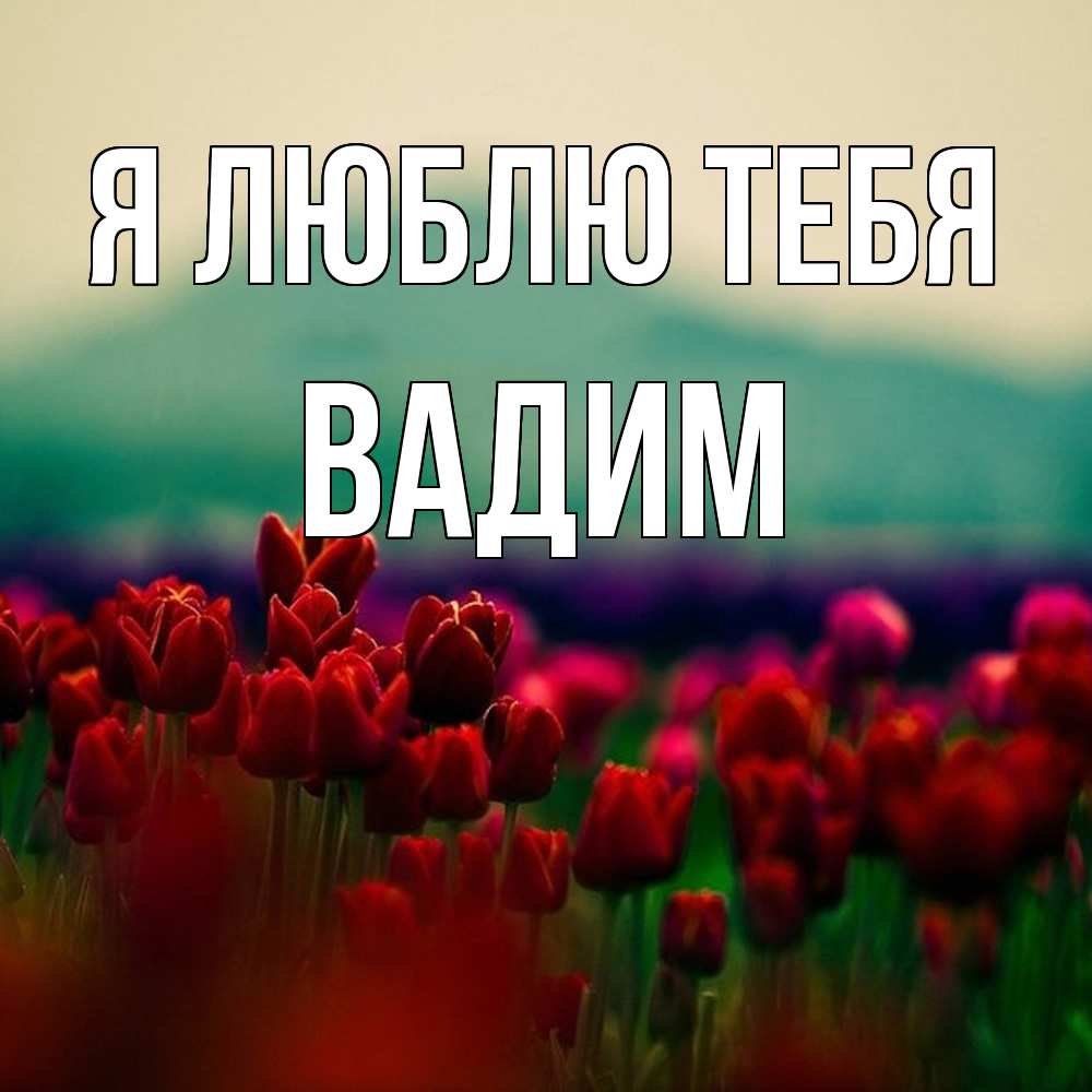 Открытка  с именем. Вадим, Я люблю тебя  