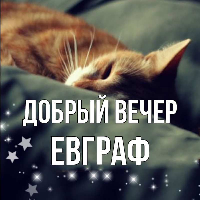 Картинка Добрый вечер, Евграф