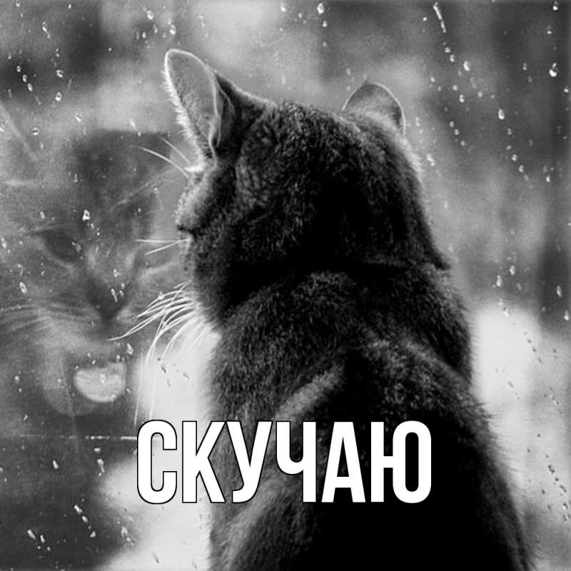 Картинка Скучаю, 