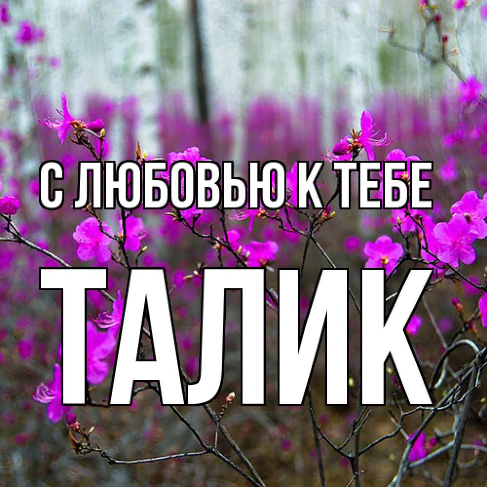 Открытка  с именем. Талик, С любовью к тебе  